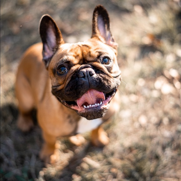 Meet your Posher, Christine - Picture 9 of 10